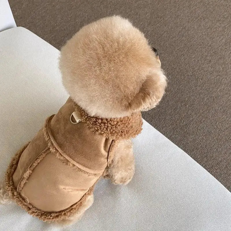 🐾 Chaleco Clásico de Invierno para Mascotas — El Confort de Lujo que tu Mejor Amigo se Merece